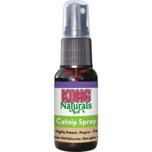 Kong Catnip Spray